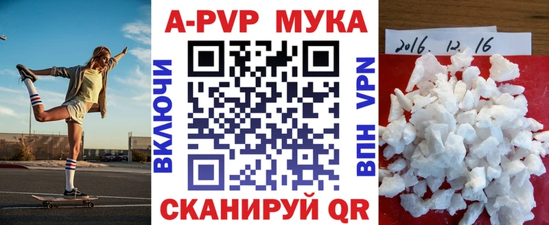 Альфа ПВП СК КРИС  Пугачёв 