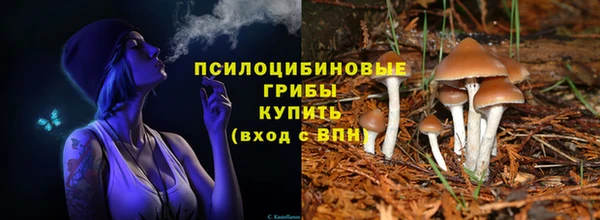 apvp Армянск