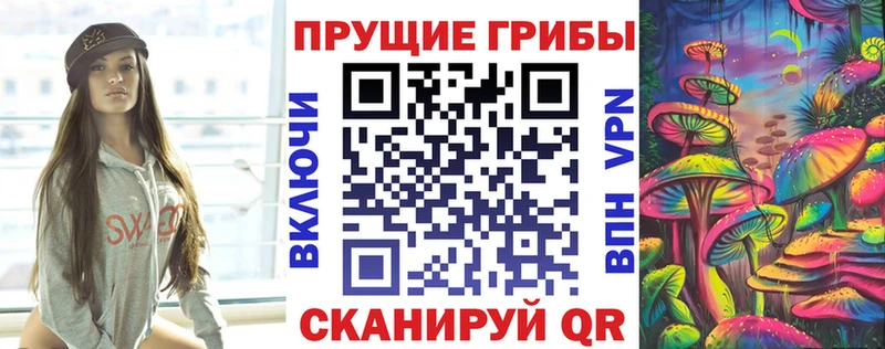 Псилоцибиновые грибы мицелий  Пугачёв 